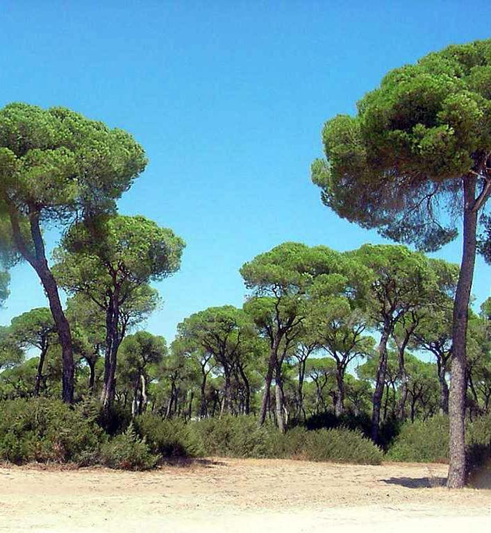 Vila Brisas Del Guadalquivir Sanlúcar de Barrameda Exteriér fotografie